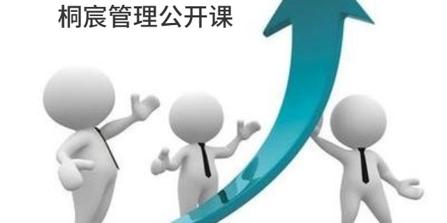山東桐宸管理咨詢 企業高效發展的專業伙伴